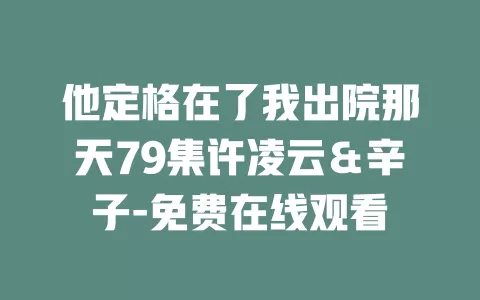 他定格在了我出院那天79集许凌云＆辛子-免费在线观看