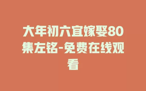 大年初六宜嫁娶80集左铭-免费在线观看