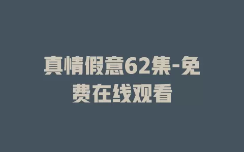 真情假意62集-免费在线观看