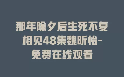 那年除夕后生死不复相见48集魏昕怡-免费在线观看