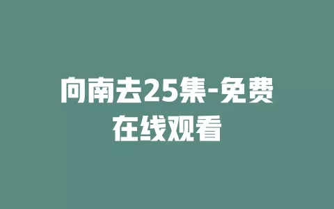 向南去25集-免费在线观看