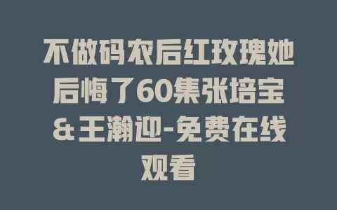 不做码农后红玫瑰她后悔了60集张培宝＆王瀚迎-免费在线观看