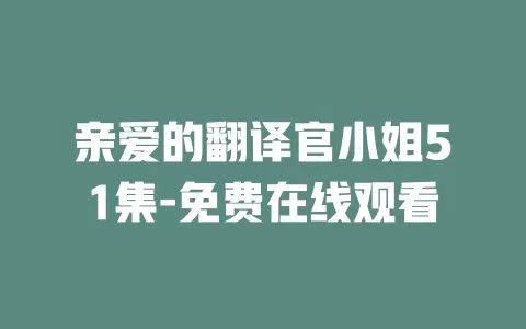 亲爱的翻译官小姐51集-免费在线观看
