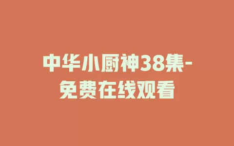 中华小厨神38集-免费在线观看