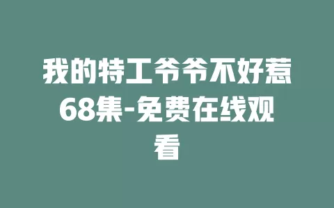 我的特工爷爷不好惹68集-免费在线观看