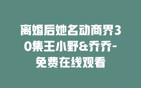 离婚后她名动商界30集王小野&乔乔-免费在线观看