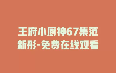 王府小厨神67集范新彤-免费在线观看