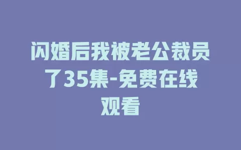 闪婚后我被老公裁员了35集-免费在线观看