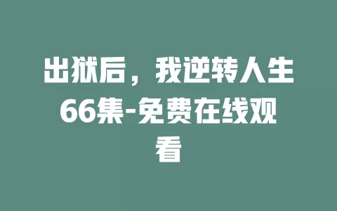 出狱后，我逆转人生66集-免费在线观看