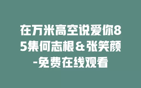在万米高空说爱你85集何志根＆张笑颜-免费在线观看