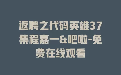 返聘之代码英雄37集程嘉一&吧啦-免费在线观看