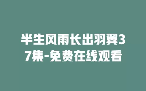 半生风雨长出羽翼37集-免费在线观看