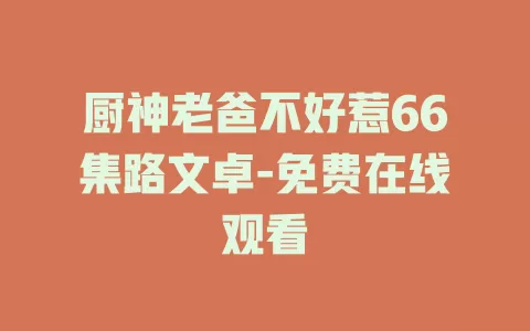 厨神老爸不好惹66集路文卓-免费在线观看