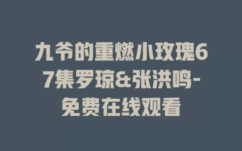九爷的重燃小玫瑰67集罗琼&张洪鸣-免费在线观看