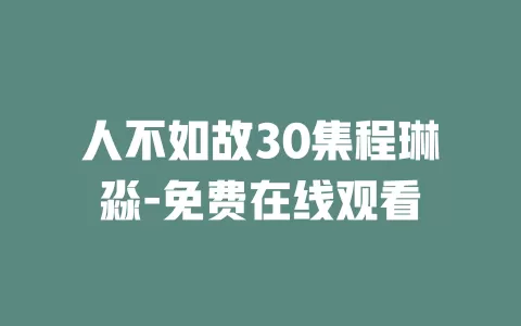 人不如故30集程琳淼-免费在线观看