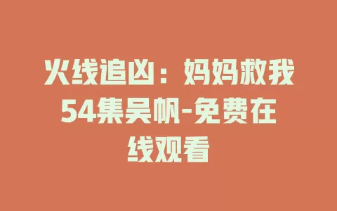 火线追凶：妈妈救我54集吴帆-免费在线观看