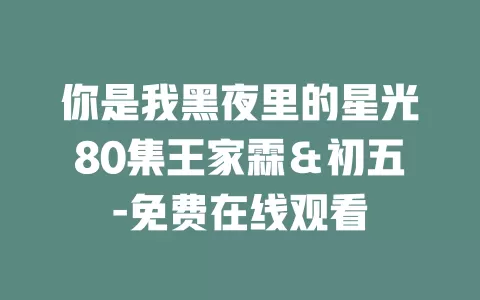 你是我黑夜里的星光80集王家霖＆初五-免费在线观看