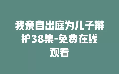 我亲自出庭为儿子辩护38集-免费在线观看