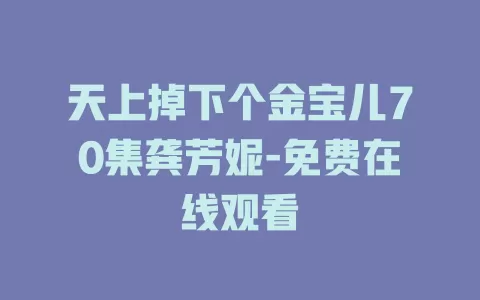 天上掉下个金宝儿70集龚芳妮-免费在线观看