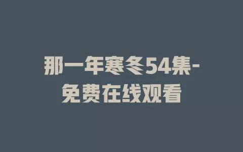 那一年寒冬54集-免费在线观看