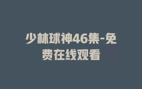 少林球神46集-免费在线观看