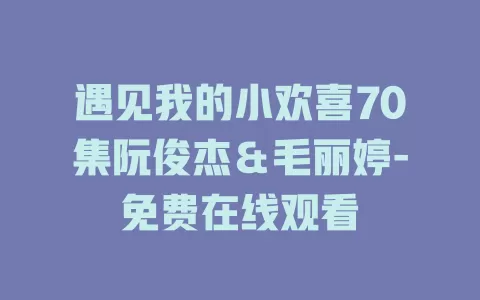 遇见我的小欢喜70集阮俊杰＆毛丽婷-免费在线观看