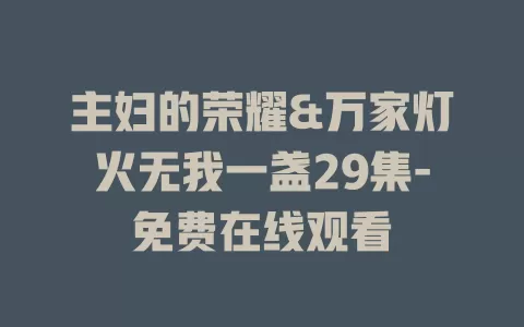 主妇的荣耀&万家灯火无我一盏29集-免费在线观看