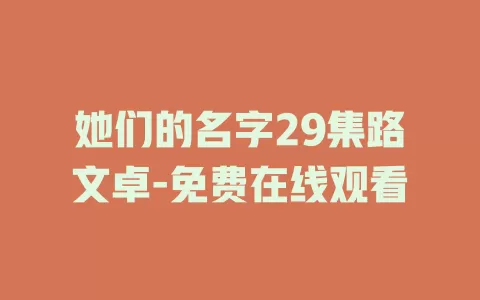 她们的名字29集路文卓-免费在线观看