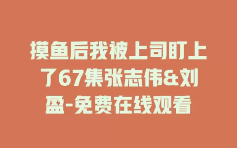 摸鱼后我被上司盯上了67集张志伟&刘盈-免费在线观看