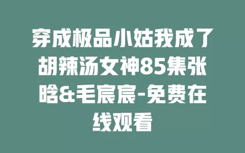 穿成极品小姑我成了胡辣汤女神85集张晗&毛宸宸-免费在线观看