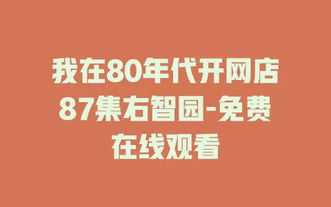 我在80年代开网店87集右智园-免费在线观看