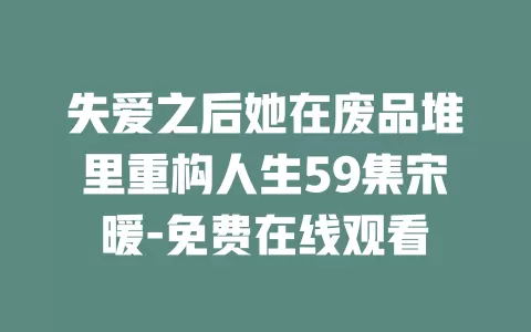 失爱之后她在废品堆里重构人生59集宋暖-免费在线观看