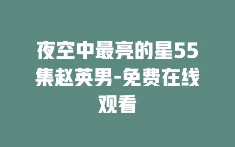 夜空中最亮的星55集赵英男-免费在线观看