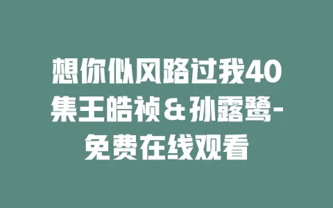 想你似风路过我40集王皓祯＆孙露鹭-免费在线观看