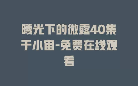 曦光下的微露40集于小宙-免费在线观看