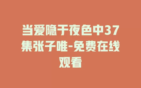 当爱隐于夜色中37集张子唯-免费在线观看