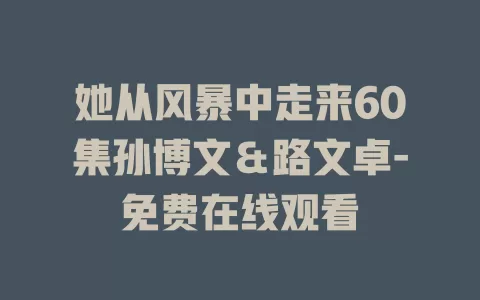 她从风暴中走来60集孙博文＆路文卓-免费在线观看