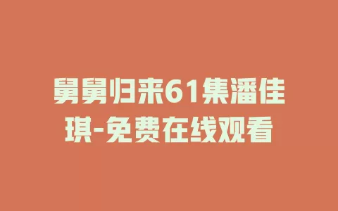 舅舅归来61集潘佳琪-免费在线观看