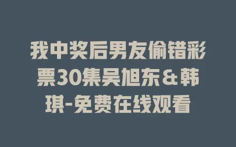 我中奖后男友偷错彩票30集吴旭东＆韩琪-免费在线观看