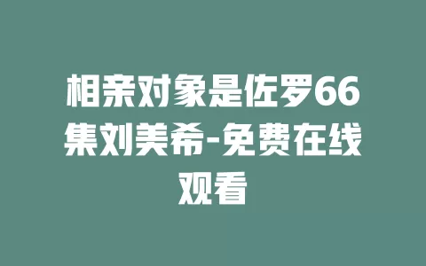 相亲对象是佐罗66集刘美希-免费在线观看
