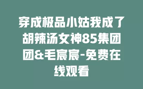 穿成极品小姑我成了胡辣汤女神85集团团&毛宸宸-免费在线观看