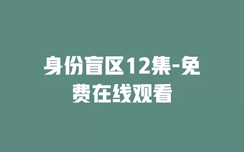 身份盲区12集-免费在线观看